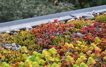 the cost of Bready green roof installation