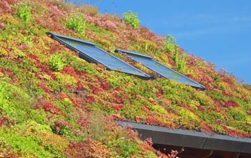 Bready living roof systems
