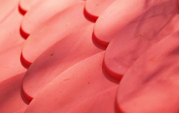 Bready plastic roof costs