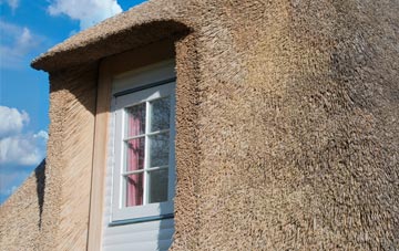 Bready thatch roof disadvantages