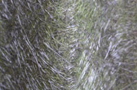 Bready fibreglass roof work