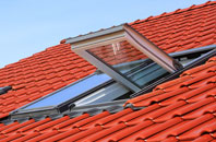 Bready roof window